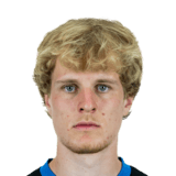 Mattes Hansen Face Scan