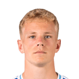 Lucas Høgsberg Face Scan