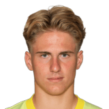 Harald Postl Face Scan