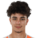 David Irimia Face Scan