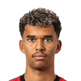 Yann Sturm Face Scan