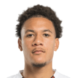 Joël Marcel Schingtienne Face Scan