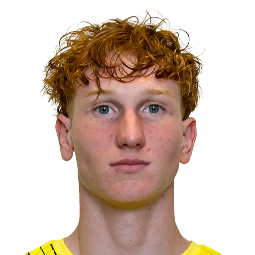Konstantin Heide Face Scan