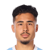 Adrian Skogmar Face Scan
