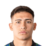 Lucas Meuli Face Scan