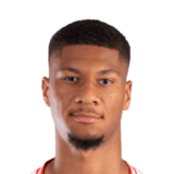 Nehemiah Fernandez Face Scan