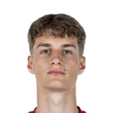 Luca Raimund Face Scan