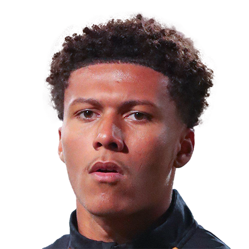 Tyrell Sellars-Fleming Career Mode headshot