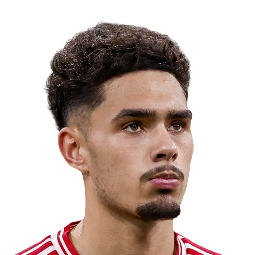 Tristan Gooijer Face Scan