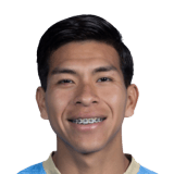 Ervin Vaca Face Scan