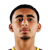 Taha Habroune Face Scan