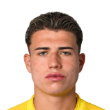 Diego Mina Face Scan