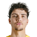 Tiago Pereira Cardoso Face Scan
