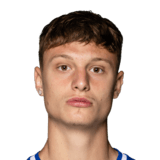 Kornel Lisman Face Scan