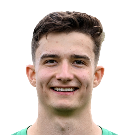 Fabian Mrozek Face Scan