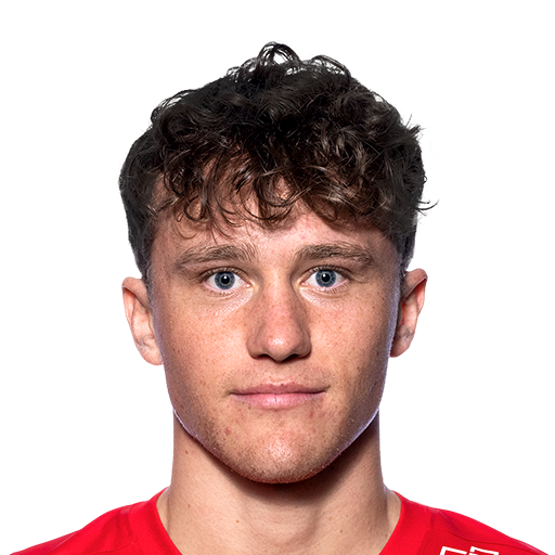 Martin Hellan Face Scan