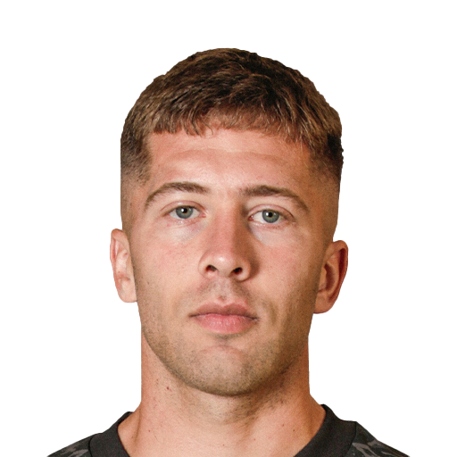 Nicolás Johansen Face Scan