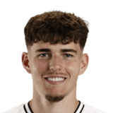 Sadin Crnovrsanin Face Scan