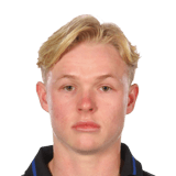 Hugo Andersson Mella Face Scan