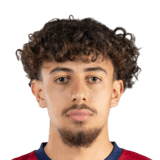 Ilhan Fakili Face Scan