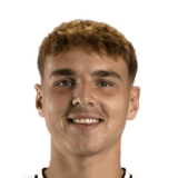 Max Scholze Face Scan