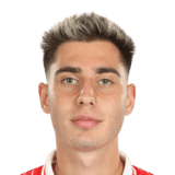 Adrian Caragea Face Scan