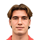 Nicolò Radaelli Face Scan