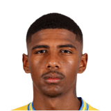 Vitor Meer Face Scan