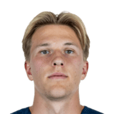 Luka Hyryläinen Face Scan