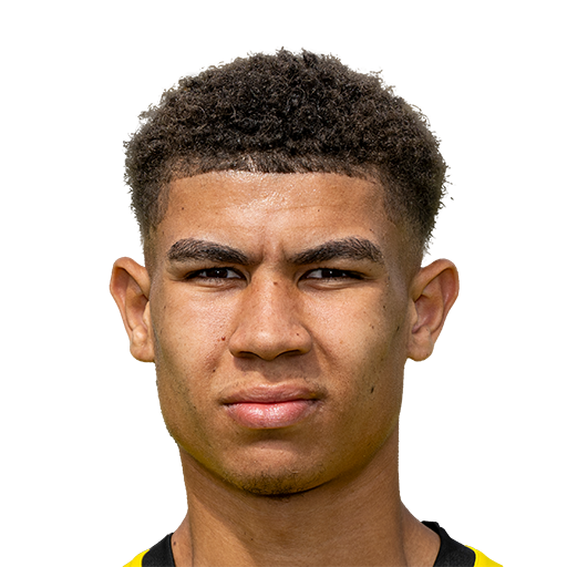 Jordi Paulina Face Scan