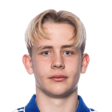 Mathias Svenningsen-Grønn Face Scan