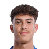 Hugo Lambotte Face Scan