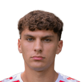 Julian Pauli Face Scan