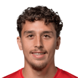 Ledjan Sahitaj Face Scan