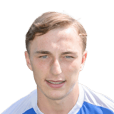 Stanley Skipper Face Scan