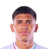 Leonel Roldán Face Scan