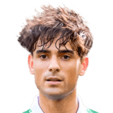 Guirao Face Scan