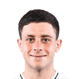 Lucas Román Face Scan