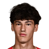 Mislav Ćutuk Face Scan