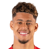 Ugo Raghouber Face Scan