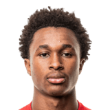 Diallo Sanoussi Face Scan