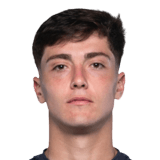 Sheyko Studer Face Scan