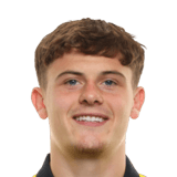 Will Lankshear Face Scan