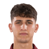 Tommaso Gabellini Face Scan
