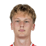 Konstantin Schopp Face Scan