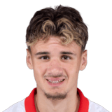 Kerim Alajbegović Face Scan