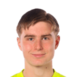 Theo Krantz Face Scan