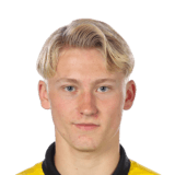 Romeo Leandersson Face Scan