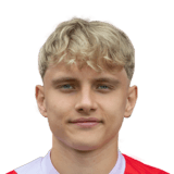 Finn Heidrich Face Scan