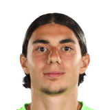 Adrian Briciu Face Scan
